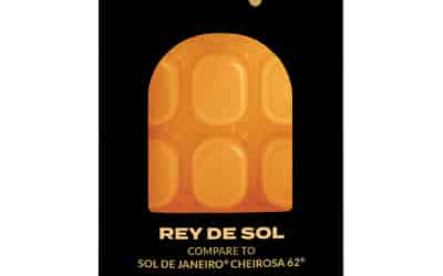 Rey de Sol